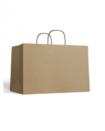 Takeaway paper bag (inner handle-jumbo)