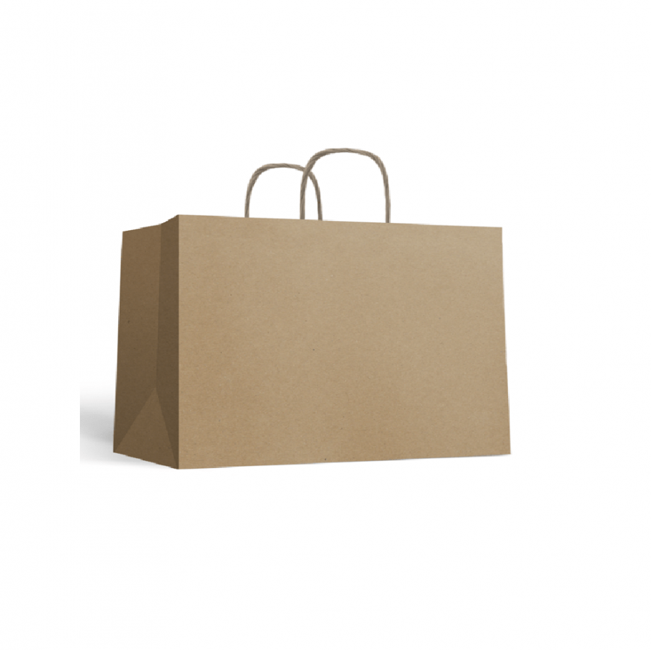 Takeaway paper bag (inner handle-jumbo)