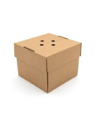 Kraft gourmet burger box-small