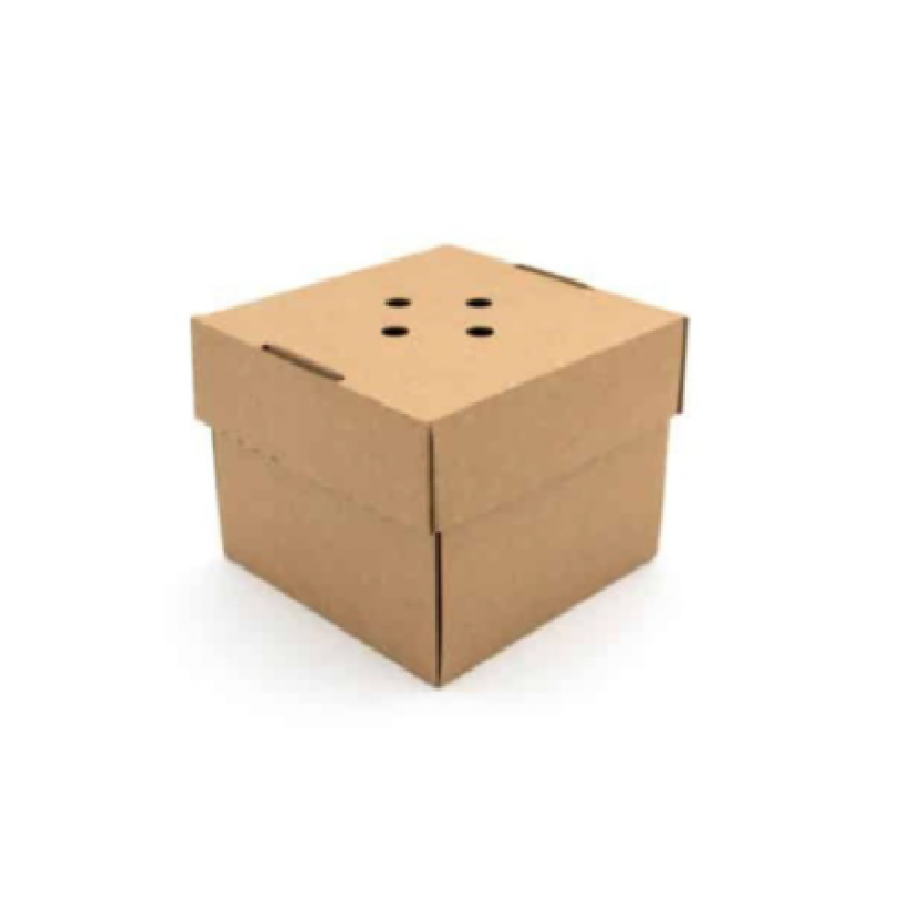 Kraft gourmet burger box-small